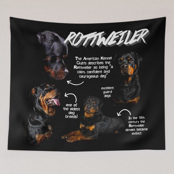 Artikelvorschau, Rottweiler Fun Facts entworfen und verkauft von KyleNesas.