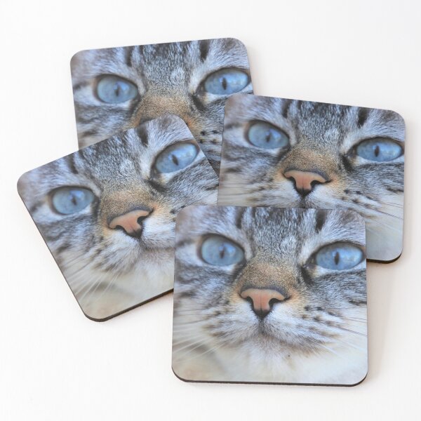 Item preview, My Cat Wrote That designed and sold by kris-money.