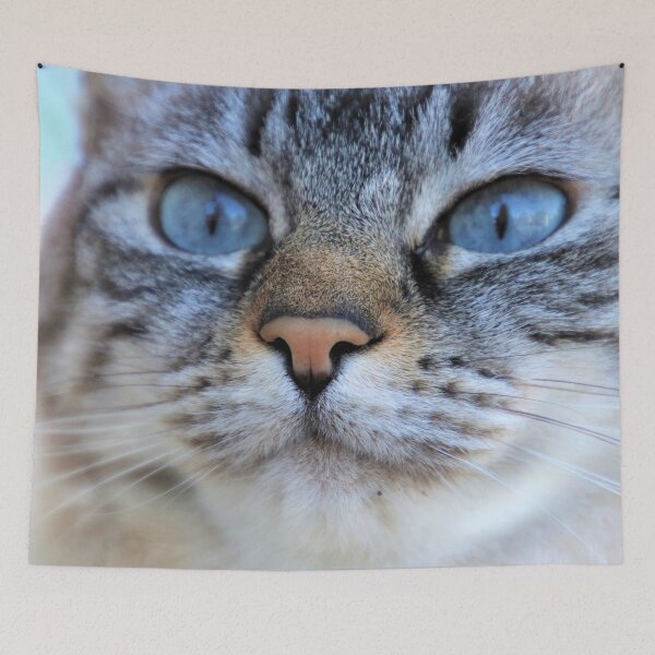 Item preview, My Cat Wrote That designed and sold by kris-money.
