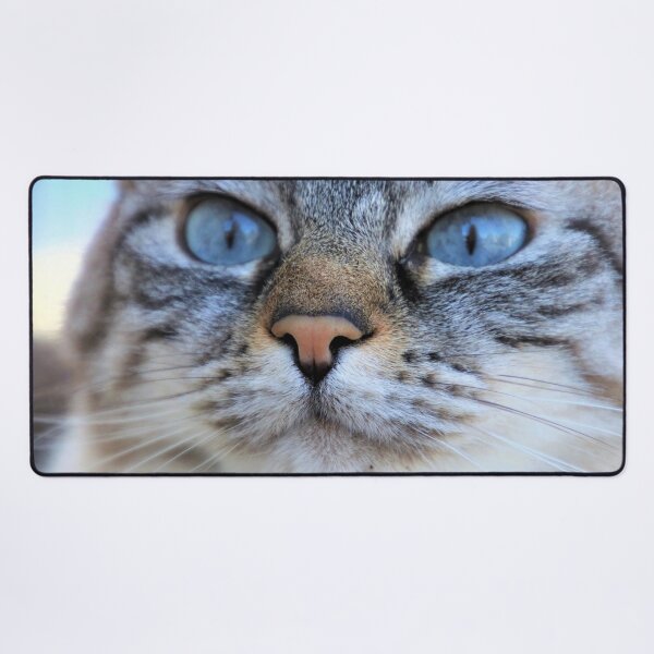 Item preview, My Cat Wrote That designed and sold by kris-money.