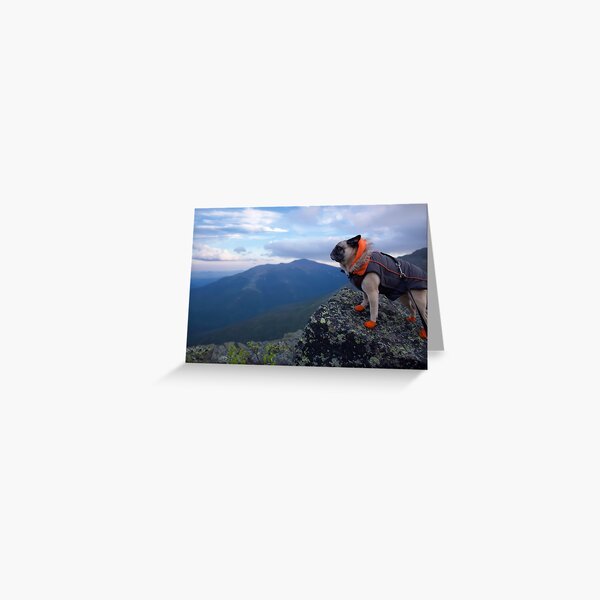 The Majestic Mountain Climbing Adventure Pug Greeting Card