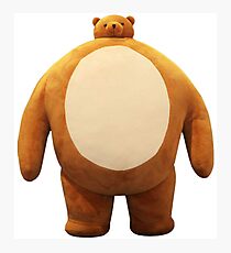 Teddy Bear with a Small Head and Large Body Photographic Print