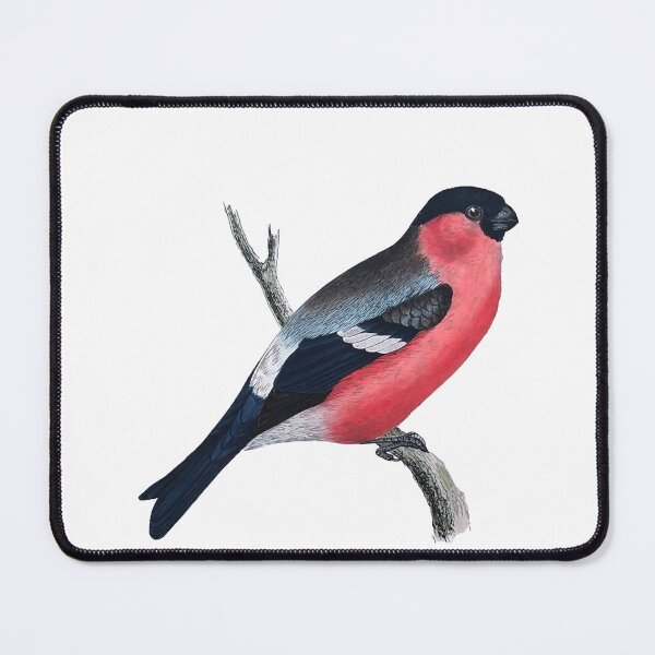 Item preview, Vintage English Bird Engraving designed and sold by louisxvpod.