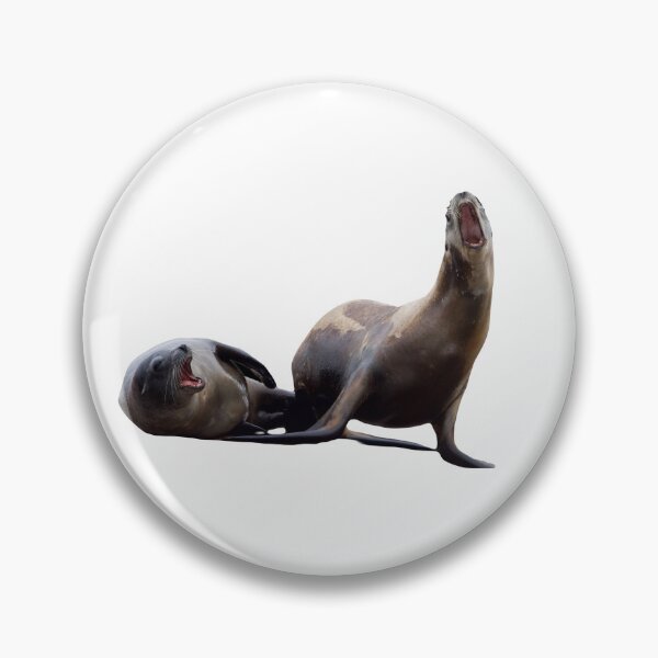 Item preview, Sea Lions Having a Good Chat designed and sold by LFPPhotography.