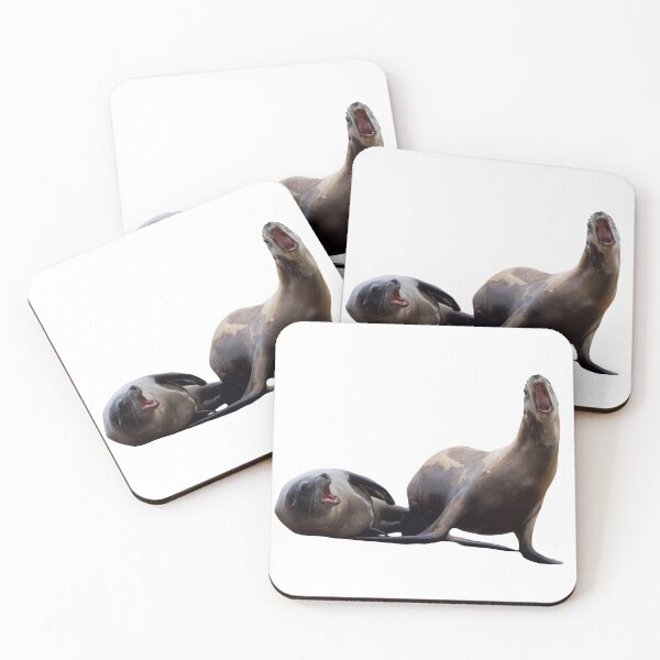 Item preview, Sea Lions Having a Good Chat designed and sold by LFPPhotography.