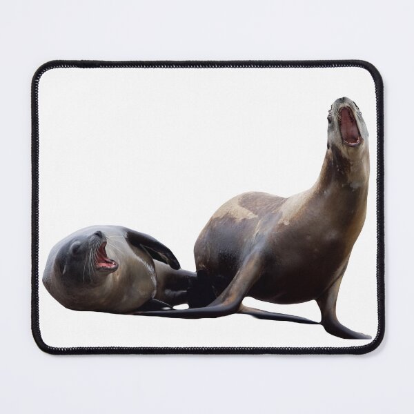 Item preview, Sea Lions Having a Good Chat designed and sold by LFPPhotography.