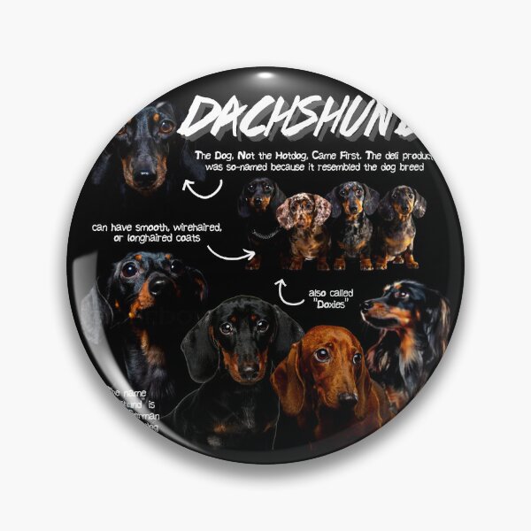 Item preview, Dachshund Fun Facts designed and sold by KyleNesas.
