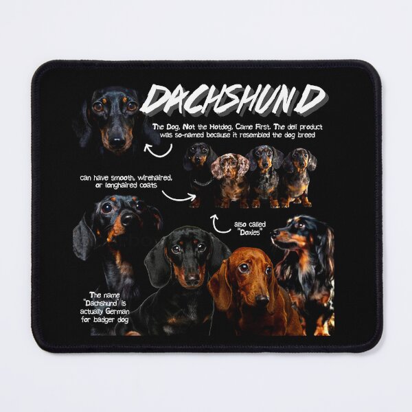 Item preview, Dachshund Fun Facts designed and sold by KyleNesas.