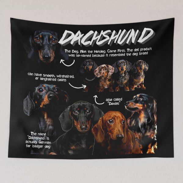 Item preview, Dachshund Fun Facts designed and sold by KyleNesas.