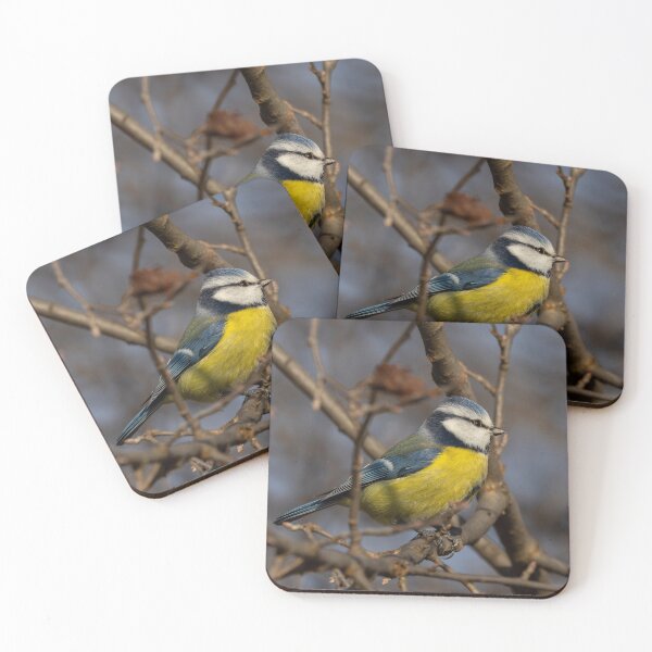 Item preview, Eurasian blue tit (Cyanistes caeruleus) designed and sold by Piotr Front.