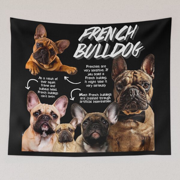 Item preview, French Bulldog Fun Facts designed and sold by KyleNesas.