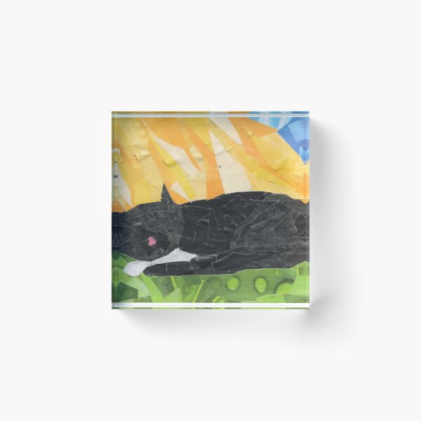 Item preview, Kitty in Sunshine designed and sold by cajunhusker.