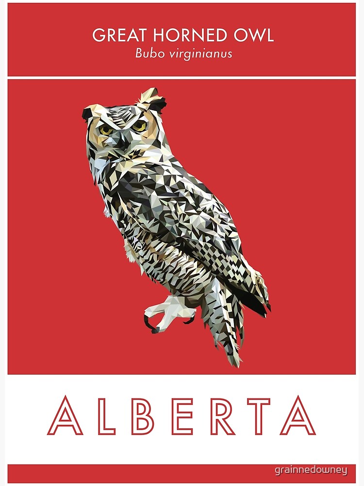Alberta by grainnedowney