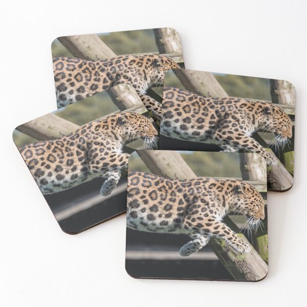 Item preview, Leaping Leopard  designed and sold by LFPPhotography.