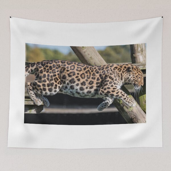Item preview, Leaping Leopard  designed and sold by LFPPhotography.