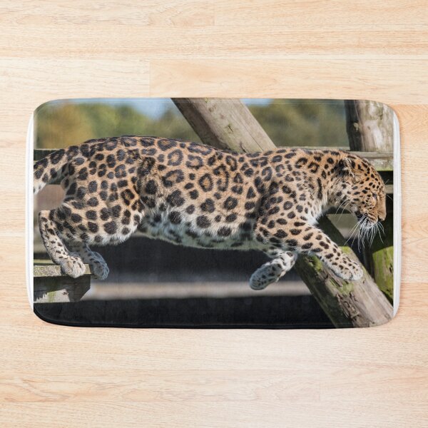 Item preview, Leaping Leopard  designed and sold by LFPPhotography.