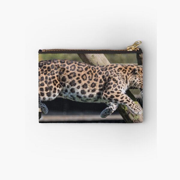 Item preview, Leaping Leopard  designed and sold by LFPPhotography.