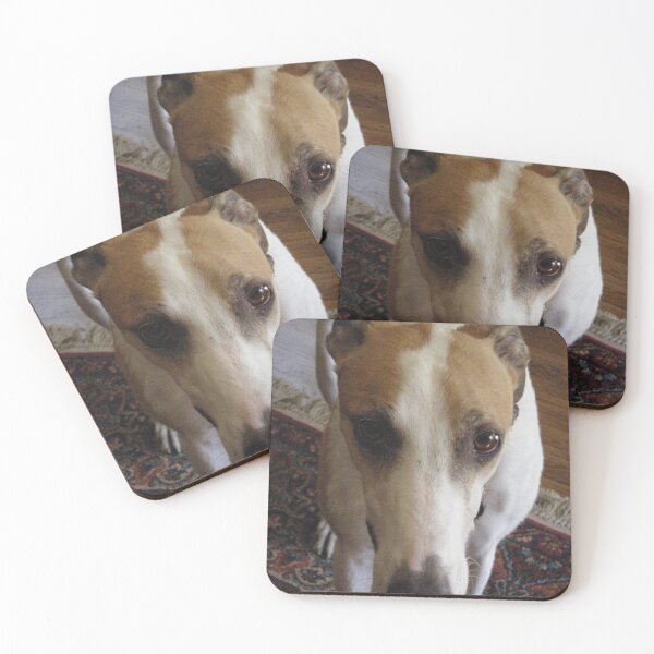Item preview, Treat Please!!!! designed and sold by Rebekah  McLeod.