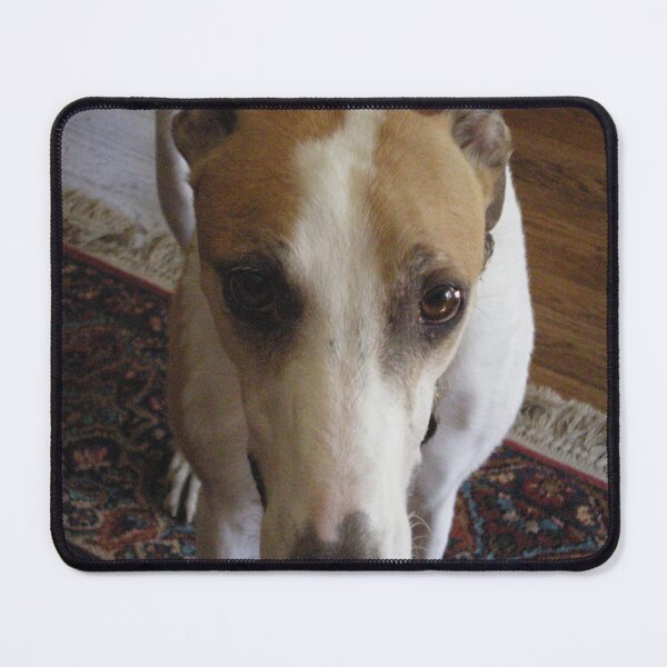 Item preview, Treat Please!!!! designed and sold by Rebekah  McLeod.