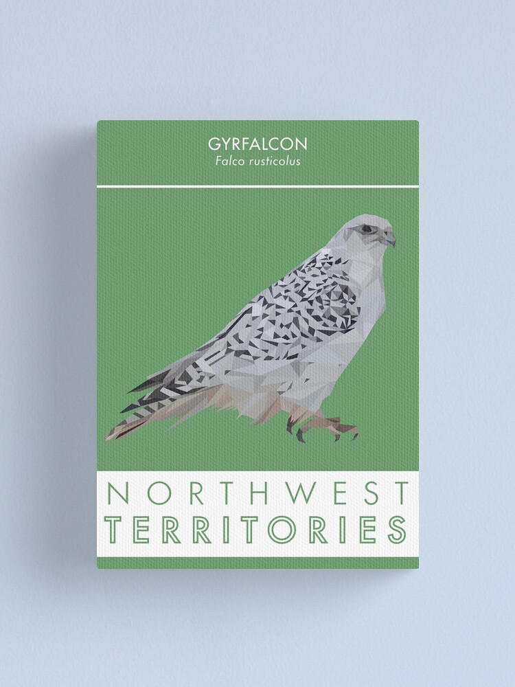 Alternate view of Northwest Territories - Gyrfalcon Canvas Print