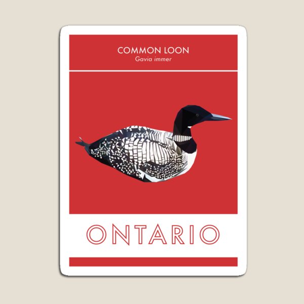 Ontario - Common Loon Magnet