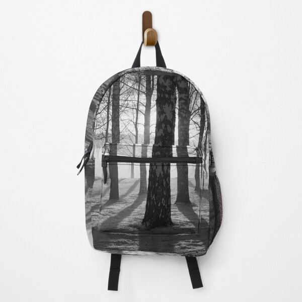 Item preview, Light and shadows. Tampere Arboretum bw designed and sold by Jouko Lehto Photography.