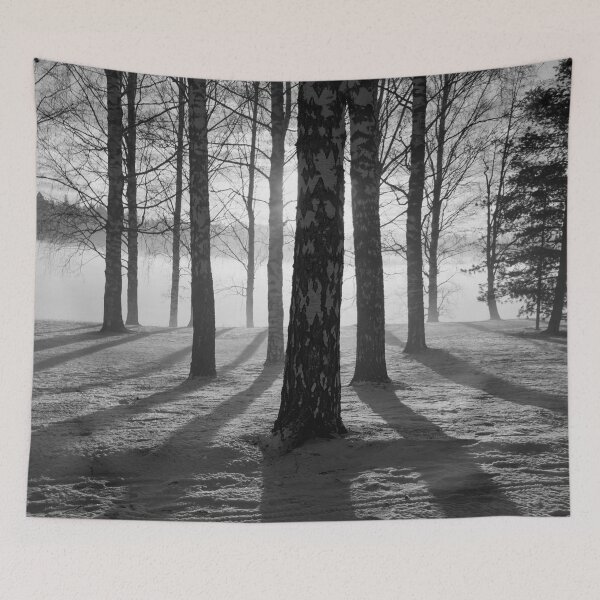 Item preview, Light and shadows. Tampere Arboretum bw designed and sold by Jouko Lehto Photography.