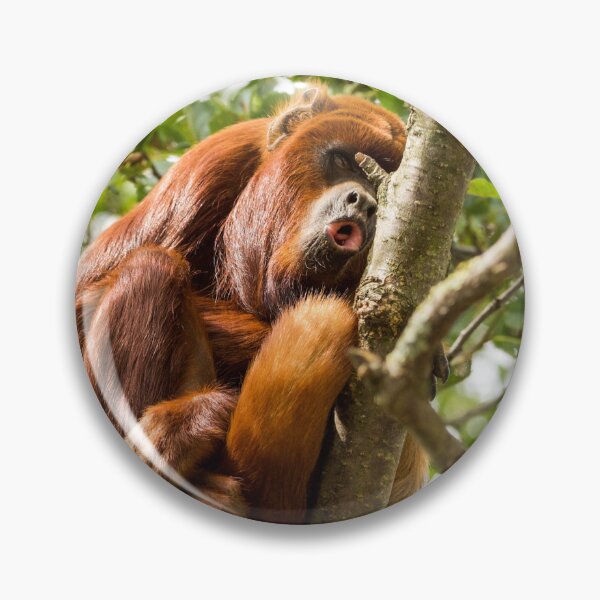 Item preview, Red Howler Monkey Looking Down on Life designed and sold by LFPPhotography.
