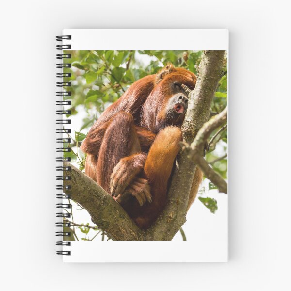 Item preview, Red Howler Monkey Looking Down on Life designed and sold by LFPPhotography.