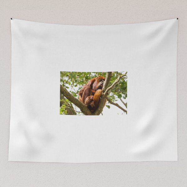 Item preview, Red Howler Monkey Looking Down on Life designed and sold by LFPPhotography.
