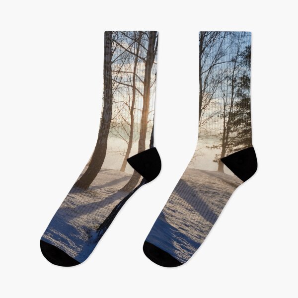Item preview, Yellow light and blue shadows. Tampere Arboretum designed and sold by Jouko Lehto Photography.