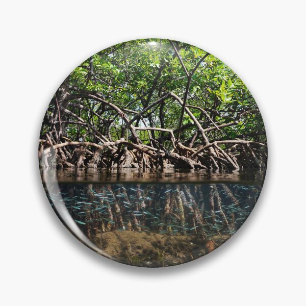Item preview, Mangrove trees in the sea and fish underwater designed and sold by Seaphotoart.