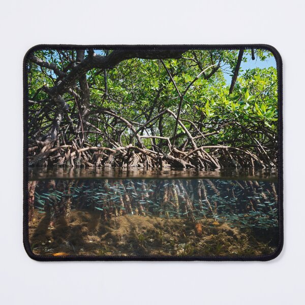 Item preview, Mangrove trees in the sea and fish underwater designed and sold by Seaphotoart.