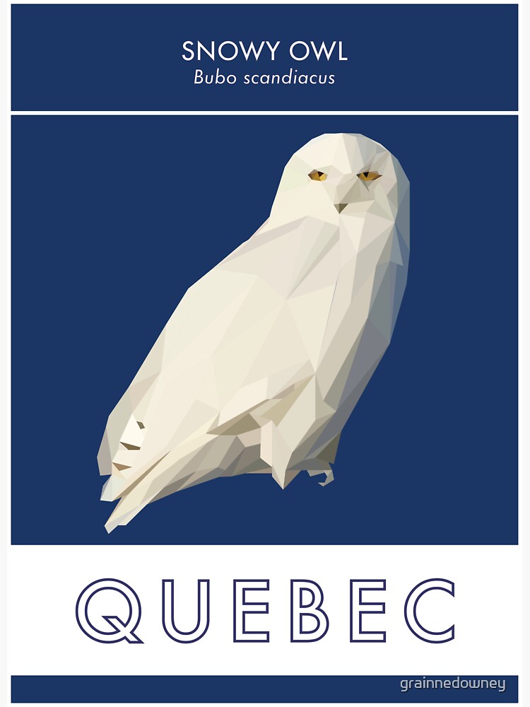 Quebec - Snowy Owl by grainnedowney