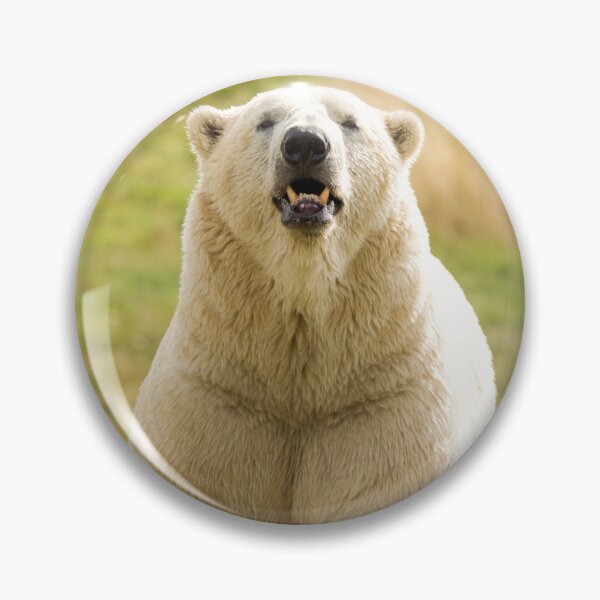 Item preview, Polar Bear Getting its Steps in designed and sold by LFPPhotography.