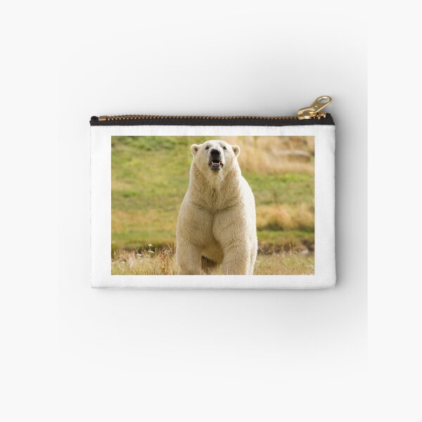Item preview, Polar Bear Getting its Steps in designed and sold by LFPPhotography.
