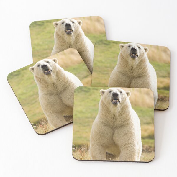 Item preview, Polar Bear Getting its Steps in designed and sold by LFPPhotography.