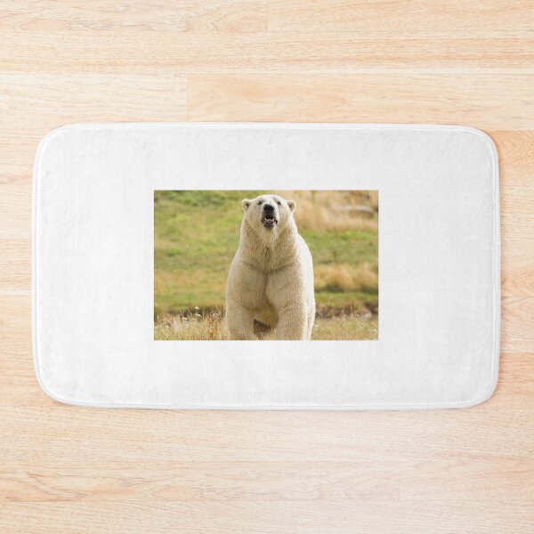 Item preview, Polar Bear Getting its Steps in designed and sold by LFPPhotography.