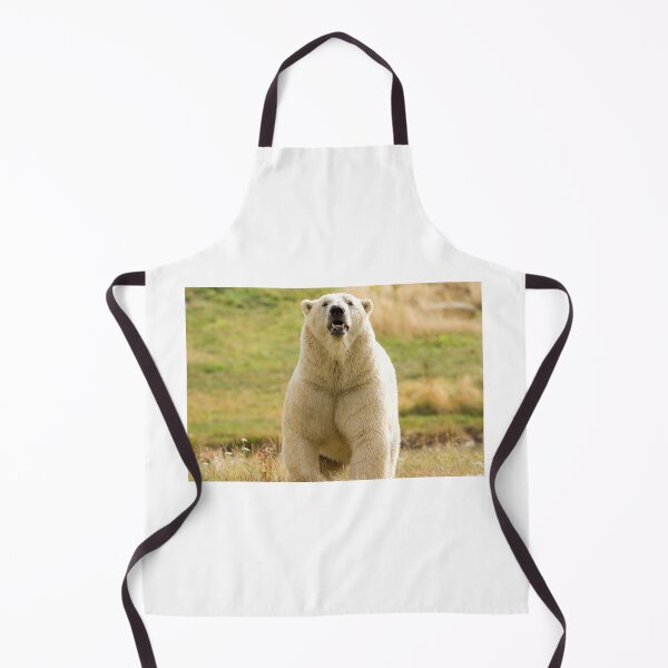 Item preview, Polar Bear Getting its Steps in designed and sold by LFPPhotography.