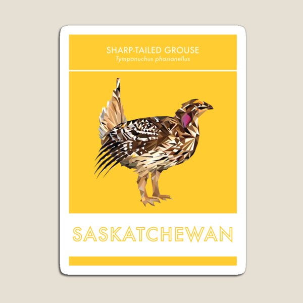 Item preview, Saskatchewan - Sharp-tailed Grouse designed and sold by grainnedowney.