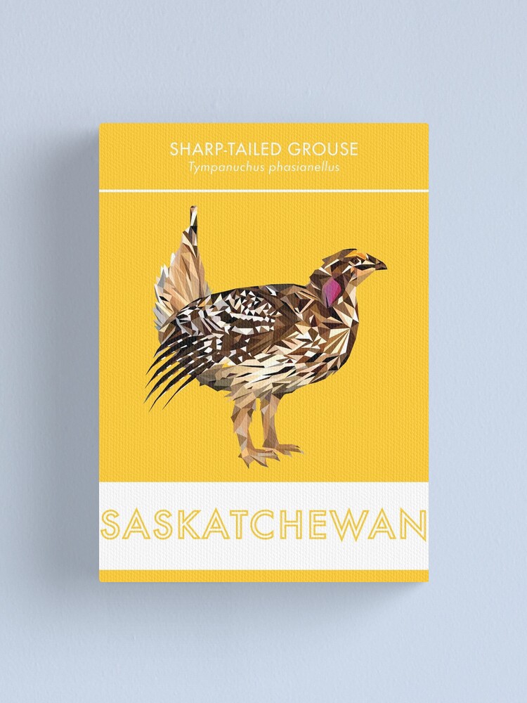 Alternate view of Saskatchewan - Sharp-tailed Grouse Canvas Print