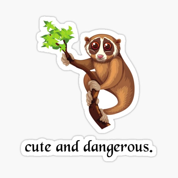 Moth Sticker – Slow Loris