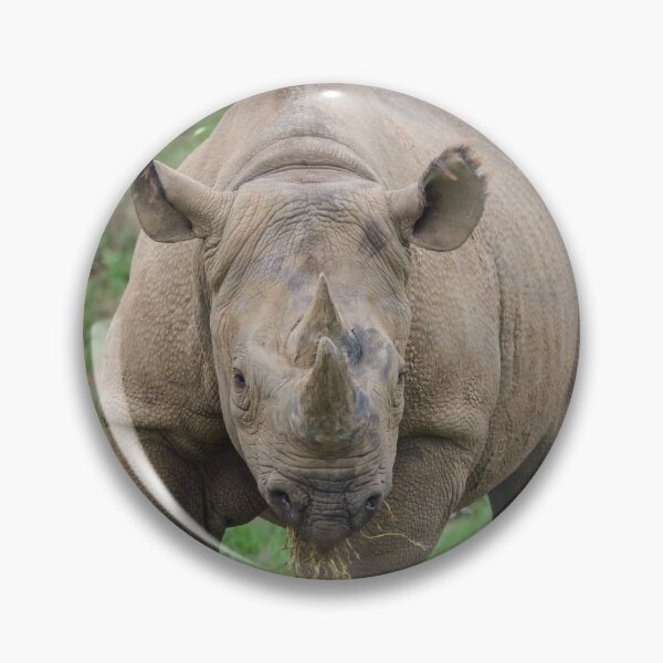 Item preview, Lunch Time for the Rhino designed and sold by LFPPhotography.