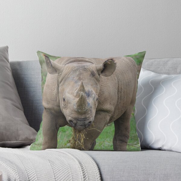 Item preview, Lunch Time for the Rhino designed and sold by LFPPhotography.