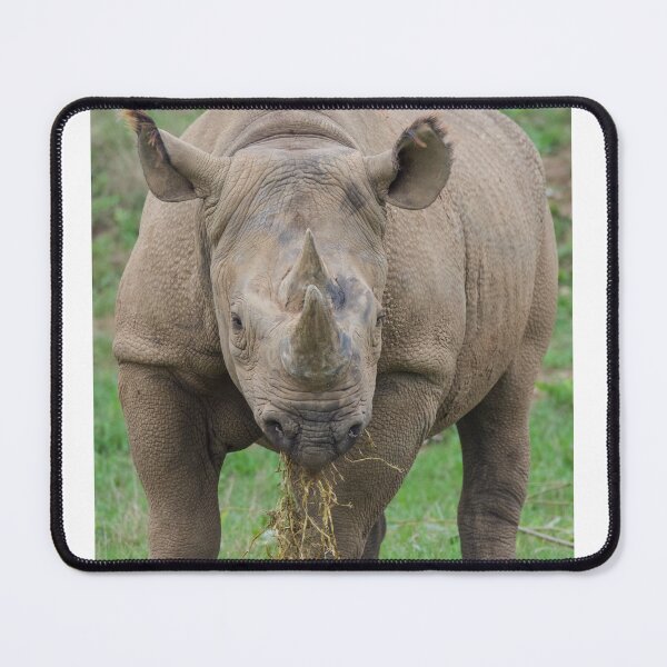 Item preview, Lunch Time for the Rhino designed and sold by LFPPhotography.