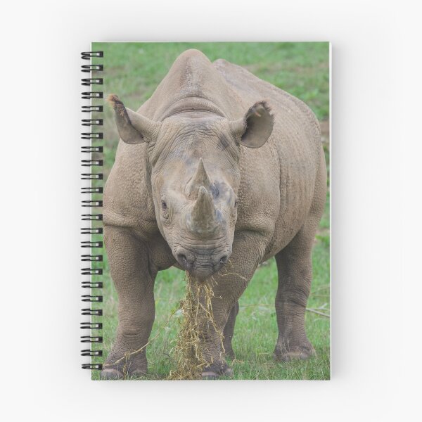 Item preview, Lunch Time for the Rhino designed and sold by LFPPhotography.