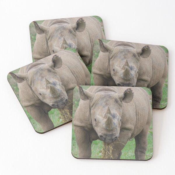 Item preview, Lunch Time for the Rhino designed and sold by LFPPhotography.