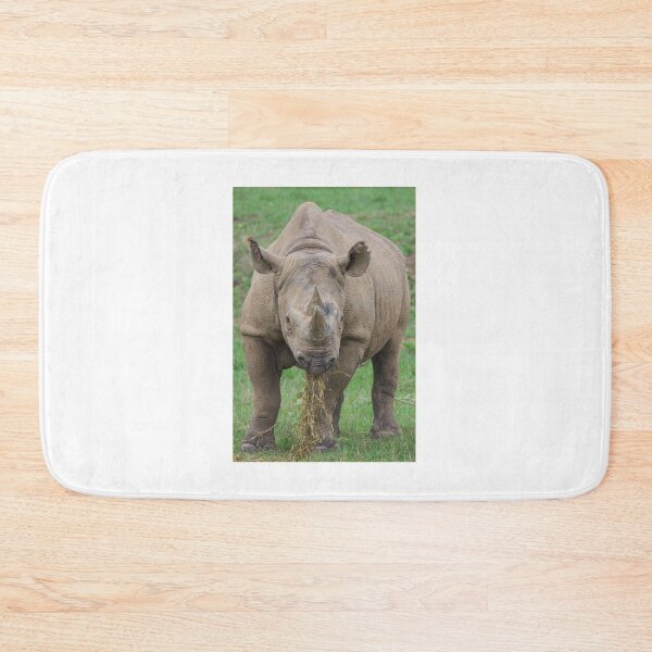 Item preview, Lunch Time for the Rhino designed and sold by LFPPhotography.