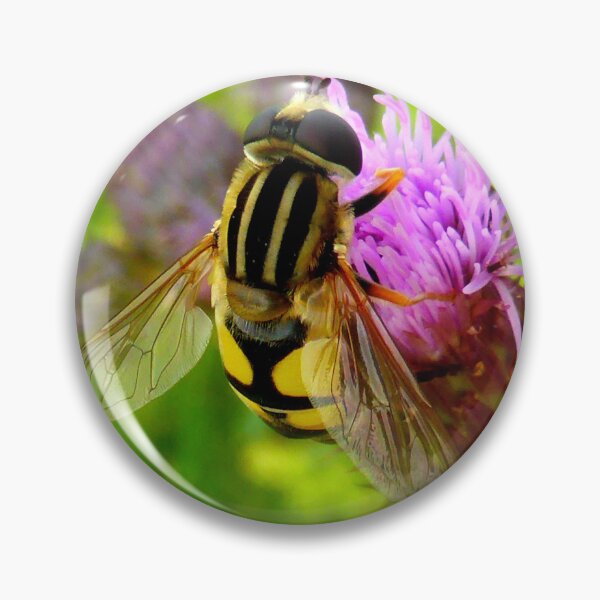 Item preview, Hoverfly on Thistle designed and sold by angel1.