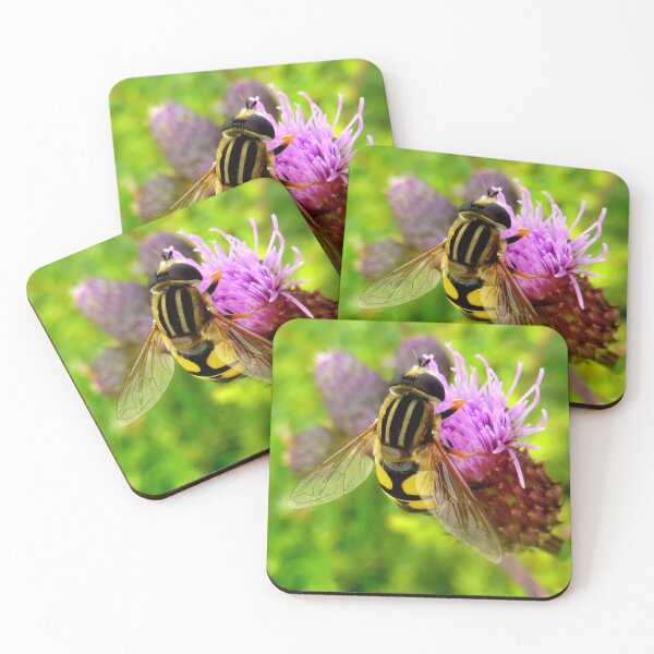 Item preview, Hoverfly on Thistle designed and sold by angel1.